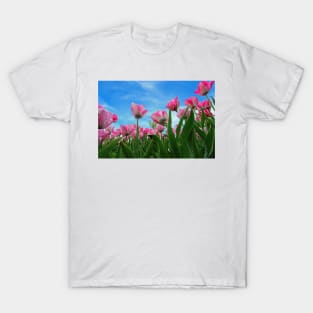 Pink Tulip Fields T-Shirt